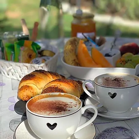 La Casa Dei Cuori 3* Millesimo