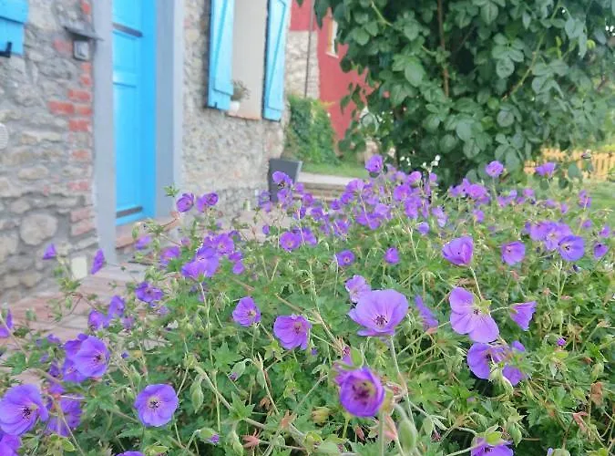 La Casa Dei Cuori Bed and breakfast 3*