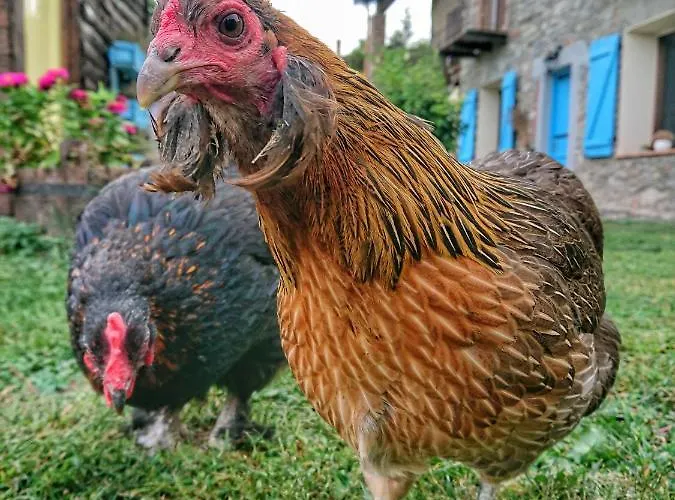 La Casa Dei Cuori Bed & Breakfast